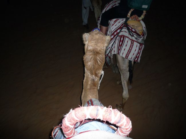 ラクダに乗ってます（重いのか、嫌がっているように感じた、これに一時間半はキツイか）