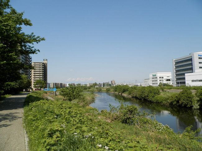 ＧＷ前半の北海道は<br />３日間とも雨で寒いし参ったの・・・。