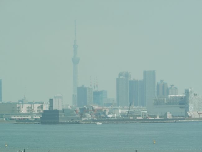 スカイツリーなの。<br />緊急時にはロケットになるという噂なの。