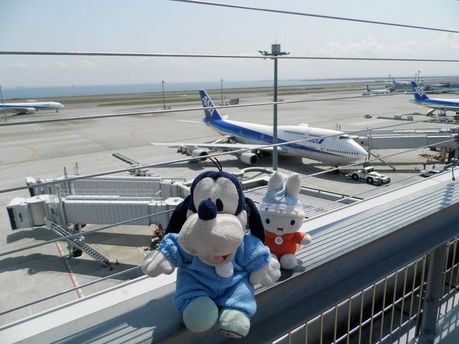 それから、コニヘー！<br />あそこを見てみろなの！