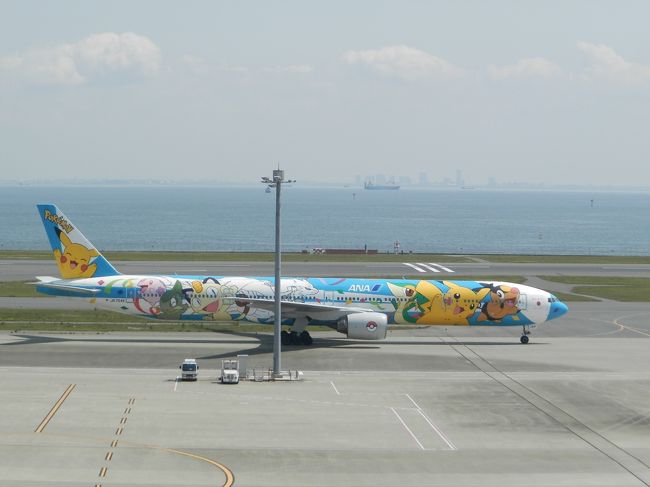 あれはポケモンジェットなの。<br />あんなの女・子供しか乗らないの。