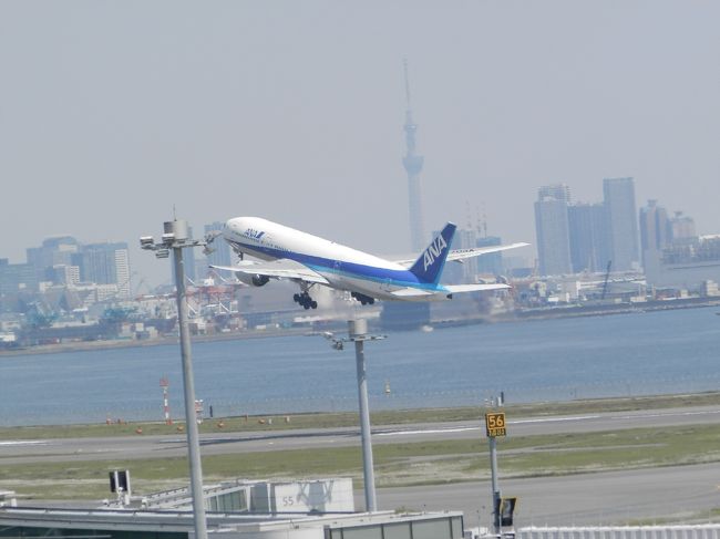 グーちゃん達は<br />あのジェットなの！