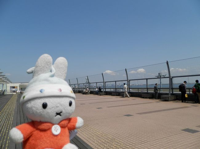 グーちゃん！<br />僕たちのジェットはあれ？