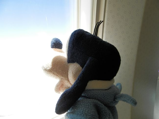 グーちゃんはお外の<br />チェックをしなくてはならないの。<br />