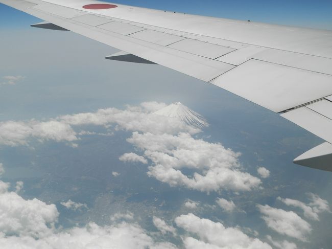 ほえ？マジ？<br />ヽ(*'0'*)ﾂ ﾜｧｵｫ!!