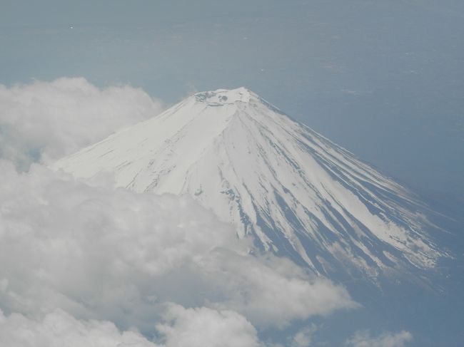 素晴らしい！<br />素晴らしすぎるの！！<br />