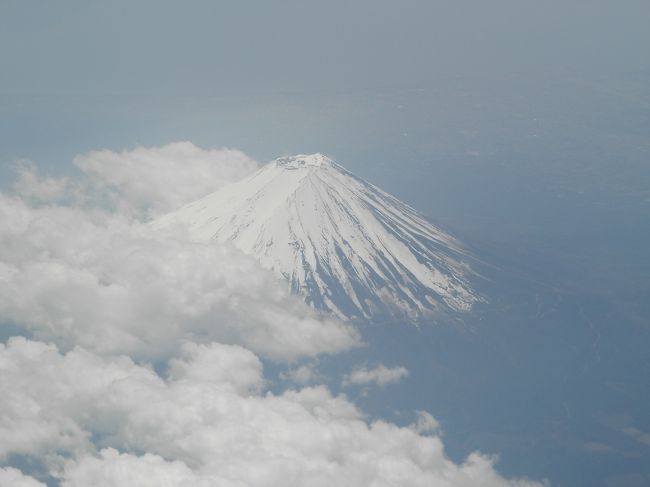 ｺﾞｼｺﾞｼ(-_\)(/_-)三( ﾟДﾟ) ｽ､ｽｹﾞｰ!