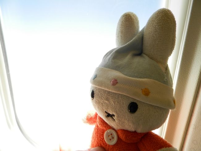 グーちゃん！<br />お山！（富士山）