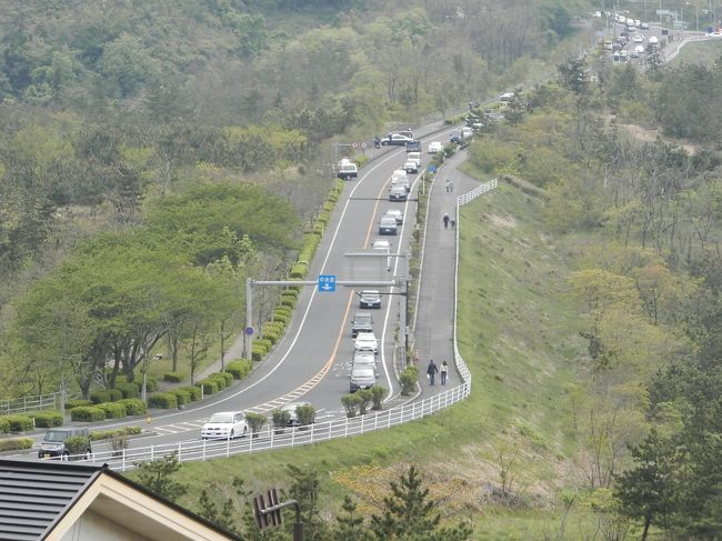 空港からは<br />砂丘直行のバスで行ったよ。<br />飛行機はガラガラだったけど<br />クルマで来る奴が多くて砂丘付近はこの渋滞・・・。