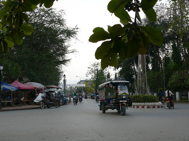 朝ののんびり風景