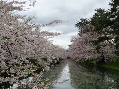 弘前の桜と言えば･･･秋田の角館と並び
全国的にも有名な桜の名所。

弘前城の広い園内を埋め尽くす桜は圧巻です！

私も東北の桜に強く憧れ･･･角館＆弘前の桜を
ツアーで見に行った事がありますが、その時は
葉桜でした。お堀がピンク色になっていて印象的だったな･･･
