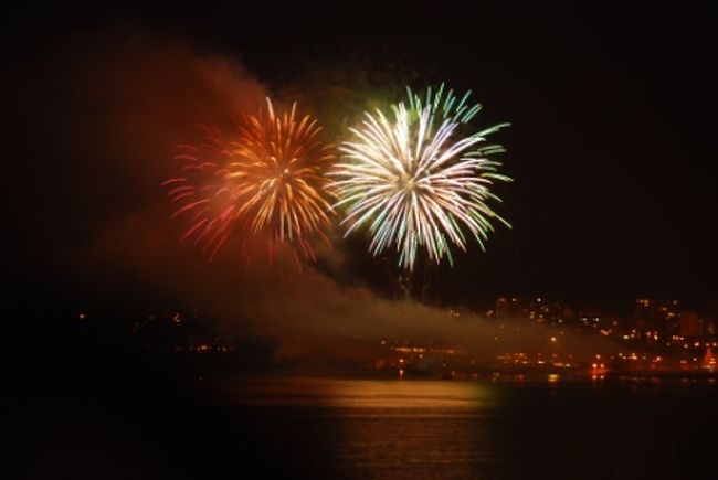 カウントダウンの声があちらこちらから聞こえる中、<br />対岸で新年の花火が上がり始めます。<br />屋上からの眺めは最高でした。<br />