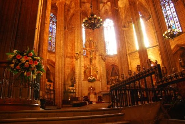 その後は街歩きへ。<br />まずはカテドラルを訪問。<br />十分見てきてしまったからでしょうか、ま、こんなもんだね、という感想。<br />そのあとはピカソ美術館へ。<br />マラガよりも作品群は豊富。<br />写真は例によってありませんがここは訪問すべき場所の一つだと思います。