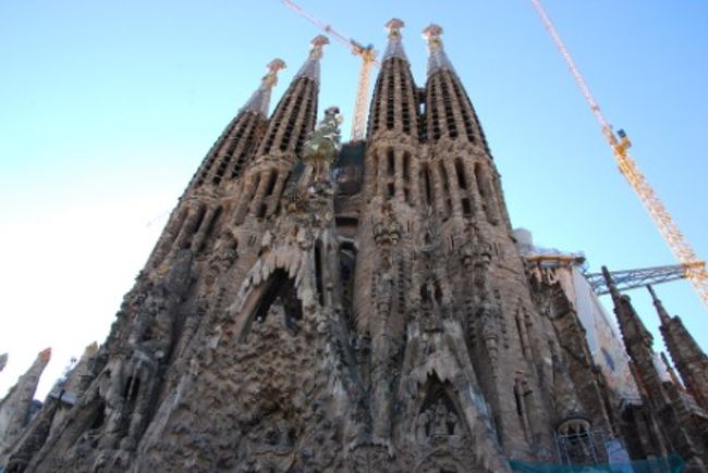 その後メトロでアシャンプラ地区へ。<br />エルス・エルカンツの蚤の市を少し覗いた後(ここの蚤の市は生活品中心で旅行者にはいまいちです。)<br />サグラダ・ファミリア教会へ。<br />確かに見る者圧倒する建築物ですが、思った以上のインパクトは受けませんでした。<br />ちょっと立派な建築を見すぎてマヒしたかな。<br />中に入るのも2時間以上待ちだったので今回はパス。<br />またいつか来た時の為に残しておくことにしました。