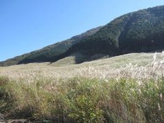 箱根「湿性花園前」に着き、ここでバスを降りて、ウオーキングをスタートしました。

まず台ケ岳のふもと一帯にススキが茂る「仙石原すすき草原」に着きました。
