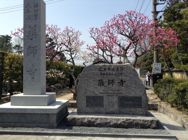 朝東京駅に集合。大阪まで新幹線で。<br />まずは薬師寺へ。東塔、西塔が内部公開でした。<br />西塔は修復中で外見は見れません。