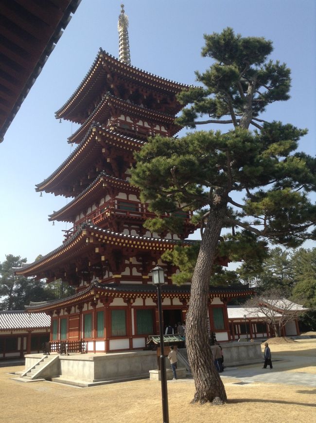 宝物展もやっていたので、見ました吉祥天。<br />高校時代の資料集にのっていた