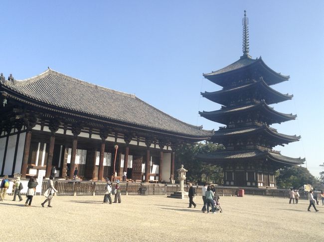 奈良公園へ。ここでもう、夜8時まで自由行動。<br />自分で回れるのでよかった。<br />まずは興福寺。<br />阿修羅像、素晴らしい。
