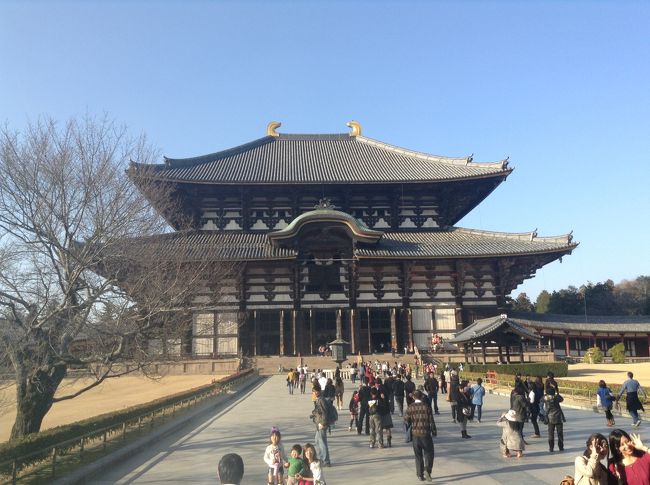 東大寺を見てから
