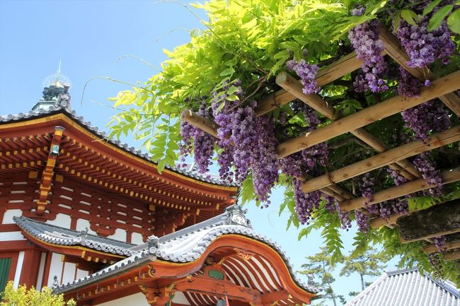 最後は見上げるアングルで撮って，先へと進みます。<br />