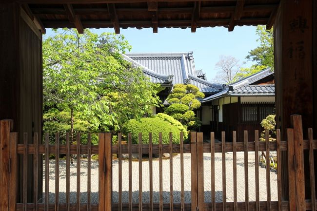 五重塔を通り過ぎ，東へどんどん歩いていくと興福寺本坊。<br />五重塔や国宝館と比べると地味なためか，気に留める人はほとんどいません(中には入れないですからね)。<br /><br />私は桜の木が気になりました。<br />来年以降のために，頭の中にインプット。