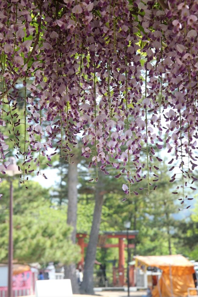 次の目的地はと…<br />奥に見える鳥居に行ってみます。<br /><br />