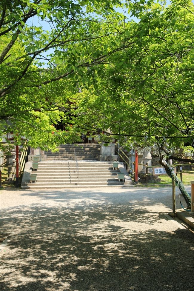 ここはどこかというと氷室神社です。<br />緑が綺麗♪