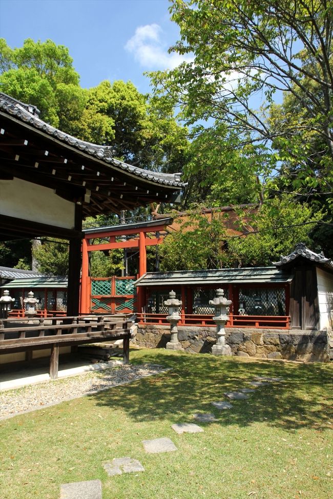 境内の奥へ進んでいきます。<br />鳥居前からはわかりにくいですけど，結構奥まであります。<br />