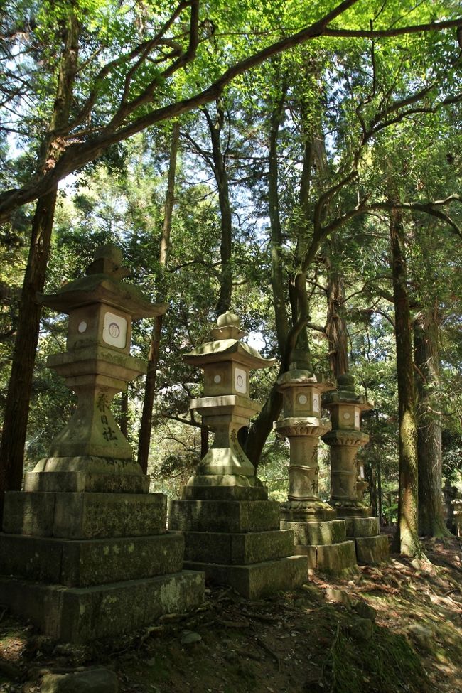 参道の両脇には大きな灯籠がずらっと並んでいます。<br />神域に足を踏み入れたことを実感します。<br />