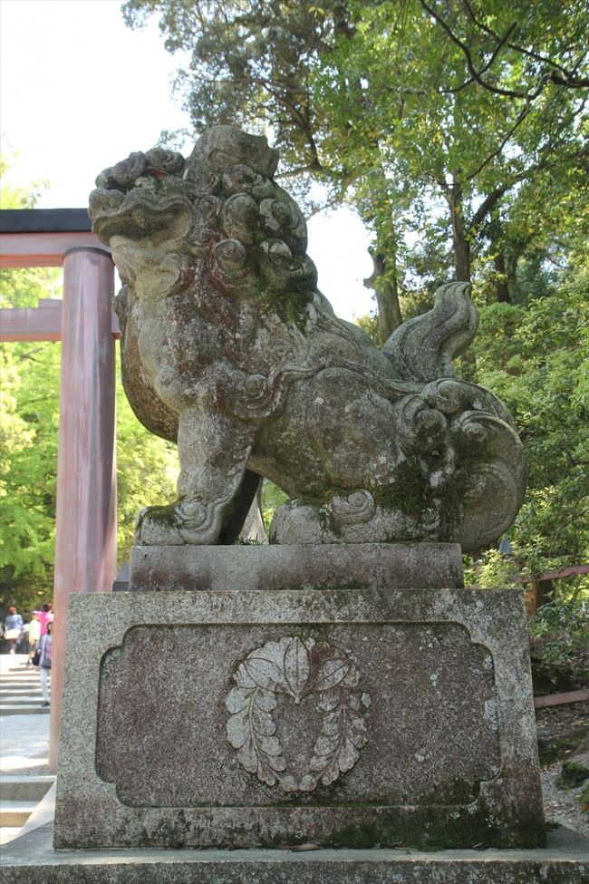 二之鳥居前に到着。<br />ここの狛犬の台座には，春日大社の神紋「下り藤」が描かれています。<br />