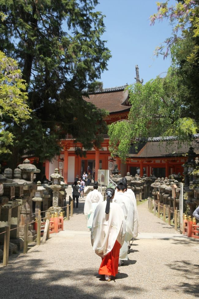 本社に行く前に若宮神社へ立ち寄りました。<br />御本社と若宮社の間の道を間道(おあいみち)と呼んでいます。<br /><br />若宮神社で何か神事が行われたようで，神官・御巫さんが引き上げてきたところでした。<br />ちなみに春日大社では巫女さんのことを御巫(みかんこ)と呼びます。