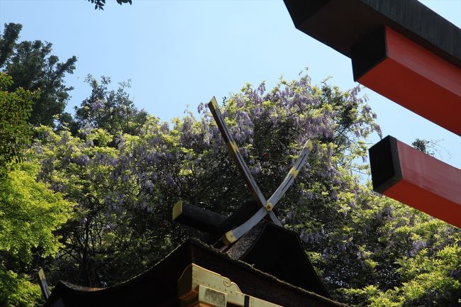 望遠レンズが壊れていたから，短いレンズしか持っていかなかったんです。<br />遠いものを撮るのに苦労しました。<br />