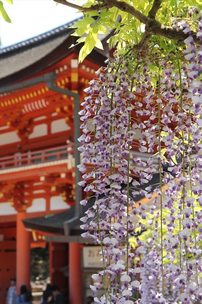 南門をバックに。<br />ゴールデンウィークで人波が途切れることは期待できないので，このあたりで妥協。<br /><br />