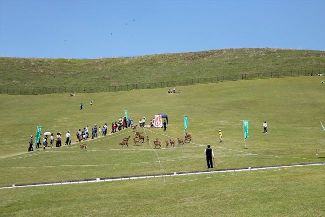 若草山に到着。<br />おや？何かやってますね。<br />