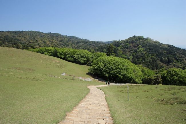 休憩がてら，登ってきた道を振り返ります。<br />視線の先は，世界遺産の春日原始林でしょう。<br />自然たっぷりです。<br />