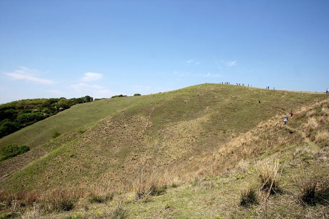 最高峰はお隣りの山ですけど，ピークハントが目的ではなかったので，このあたりで休憩。<br />