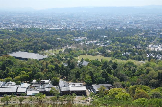 左手前が奈良新公会堂。<br />その奥が春日の森。<br />中央やや右が興福寺で五重塔も見えます。<br />