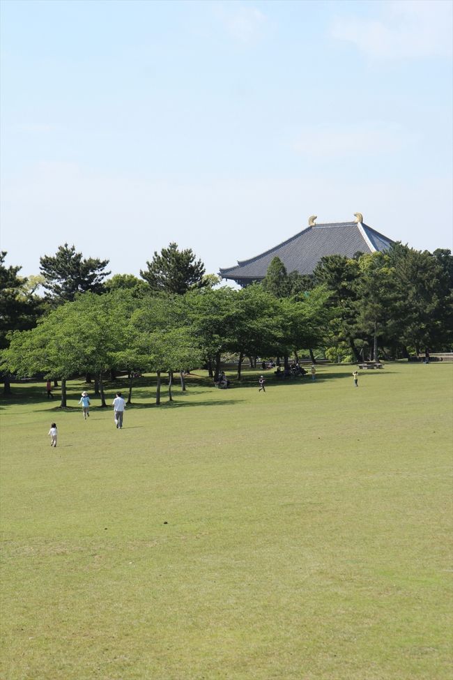 近鉄奈良駅へと向かいます。<br />結局，東大寺には行かず，遠くから大仏殿を見るだけになりました。<br />子供に柱くぐりを体験させてあげたいのですけど，次の機会ですね。<br />