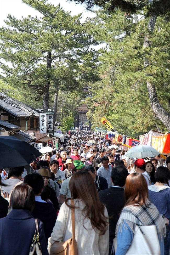 東大寺参道…!!<br />何，この人だかり！<br />普段は鹿のほうが多いのに…(すみません，言い過ぎです)<br />とてもじゃないけど，こちらには進めません。<br />