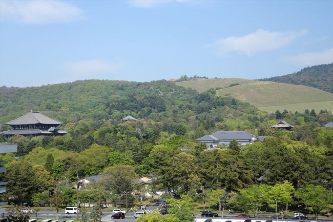 仕方ないので，とりあえず景色だけでも。<br />こちらは西側，若草山と東大寺。