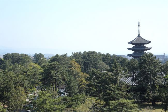 こちらは南側で興福寺。<br /><br />これで奈良散策は終了。<br />鹿せんべい飛ばし大会が悔しい〜