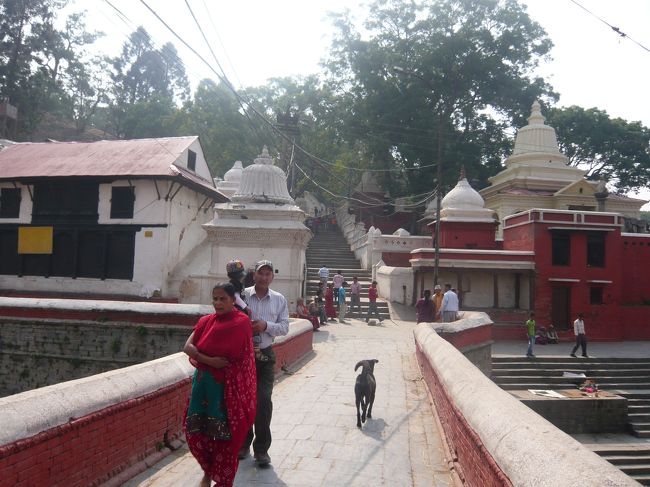 石段を上り、丘の上へ。