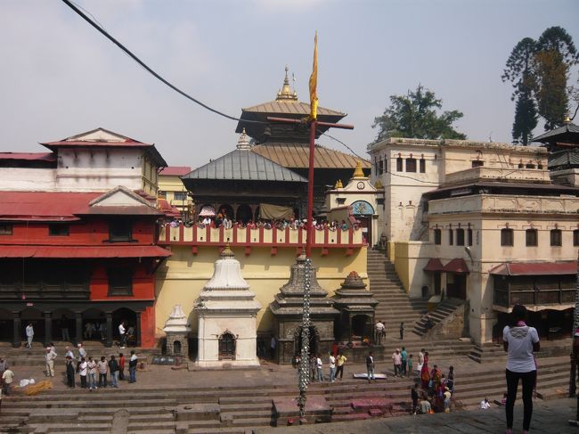 河岸に戻りました。対岸にはパシュパティナート寺院。