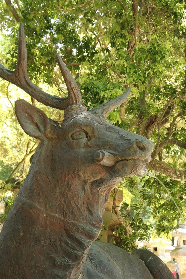 二の鳥居をくぐり，伏鹿手水所で清めてから先へと進みます。<br />