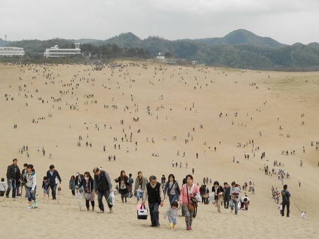 なんか気持ち悪いね・・・。