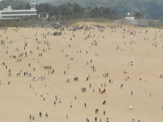 ぞくそくと有象無象達が来るね。<br />ゾンビみたい！