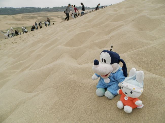 グーちゃん！<br />アレ見て！