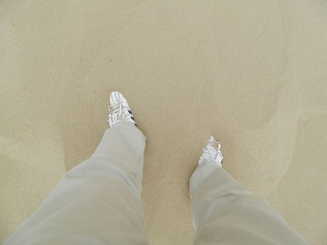 グーちゃん、コニヘーをおぶって<br />山頂に到着したなべなべ。<br />山頂ではこんなにもぐってしまうの！<br />Σ（￣Д￣;）がーんっ!