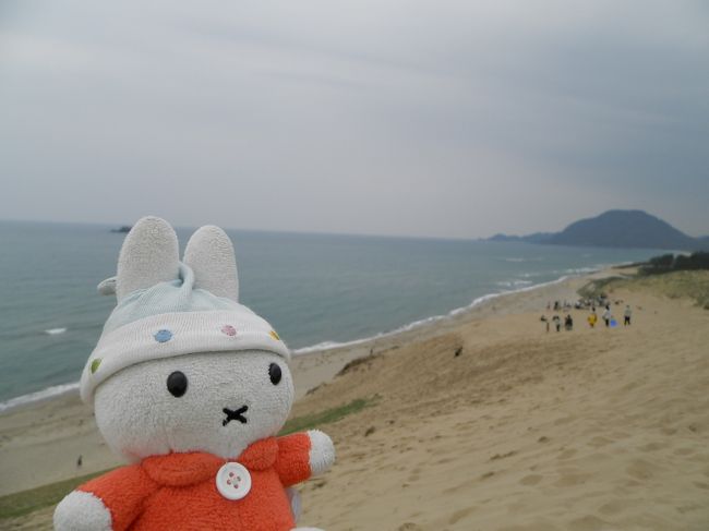 グーちゃん！<br />山頂で何かの撮影してるよ。