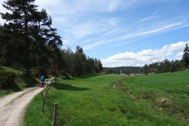 天気が良いと足も軽い。